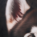 Подушка декоративная антистресс, собака «Хаски» - Фото 5