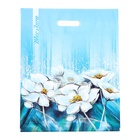 Пакет «Аура», полиэтиленовый с вырубной ручкой, 38×47 см, 60 мкм  (артикул 10370993)  большой выбор товаров оптом и в розницу по низким ценам с доставкой