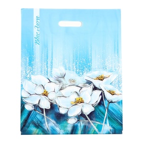 Пакет «Аура», полиэтиленовый с вырубной ручкой, 38?47 см, 60 мкм (комплект 50 шт)