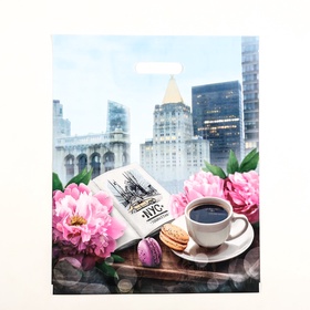 Пакет «Манхэттен», полиэтиленовый с вырубной ручкой, 37?47 см, 60 мкм (комплект 50 шт)