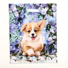 Пакет «Рыжик», полиэтиленовый с вырубной ручкой, 38?47 см, 60 мкм (комплект 50 шт)