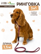 Ринговка для собак, 150×0.6 см, с вертлюгом, красная, синяя - Фото 1