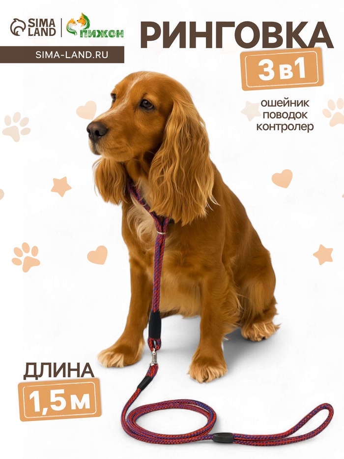 Ринговка для собак, 150×0.6 см, с вертлюгом, красная, синяя - Фото 1