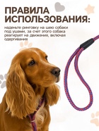 Ринговка для собак, 150×0.6 см, с вертлюгом, красная, синяя - Фото 3