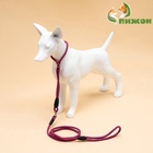 Ринговка для собак, 150×0.6 см, с вертлюгом, красная, синяя - Фото 4