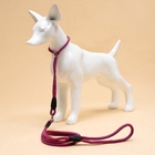 Ринговка для собак, 150×0.6 см, с вертлюгом, красная, синяя - Фото 7