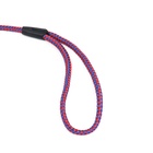 Ринговка для собак, 150×0.6 см, с вертлюгом, красная, синяя - Фото 9