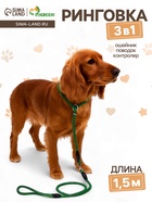 Ринговка для собак, 150×0.6 см, с вертлюгом, чёрная, зелёная - Фото 1