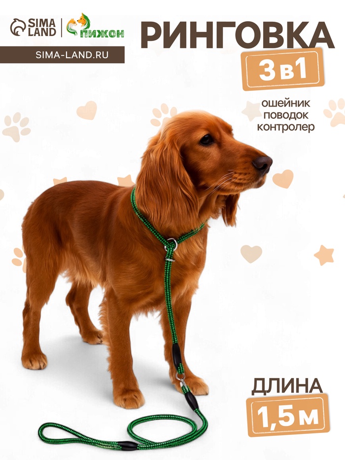 Ринговка для собак, 150×0.6 см, с вертлюгом, чёрная, зелёная - Фото 1