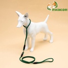 Ринговка для собак, 150×0.6 см, с вертлюгом, чёрная, зелёная - Фото 4