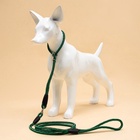 Ринговка для собак, 150×0.6 см, с вертлюгом, чёрная, зелёная - Фото 7