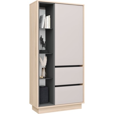 Пенал «Рэя №5.1», 720×320×1500 мм, цвет туя светлая / кашемир / графит