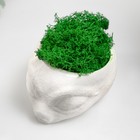 Кашпо бетонное "Пришелец" высота 5 см, диаметр 6 см белый со мхом (мох зелен. стабилизир) - Фото 5