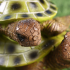 Фигурка полистоун TAKE IT EASY «Черепашки», 11×13×8 см - Фото 6