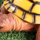 Фигурка полистоун TAKE IT EASY «Черепаха», 11×14×6 см - Фото 5