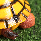 Фигурка полистоун TAKE IT EASY «Черепаха», 11×14×6 см - Фото 6