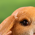 Фигурка полистоун «Зайки прыгуны», 9×13×19 см - Фото 6