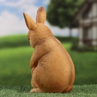 Фигурка полистоун TAKE IT EASY «Зайчиха с зайчонком», 13×12×25 см - Фото 4