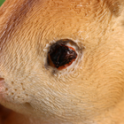 Фигурка полистоун TAKE IT EASY «Семья зайцев», 11×15×23 см - Фото 6