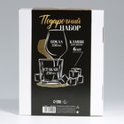 Подарочный набор «Папа и Мама», стакан 250 мл с камнями для виски и бокал для вина 350 мл 9799554 - фото 16137817
