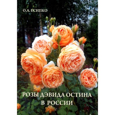 Розы Дэвида Остина в России. Есипко О.А.