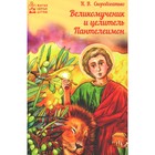 Великомученик и целитель Пантелеимон. Скоробогатько Н.В. - фото 110706512