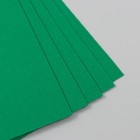 Набор фетра 22х30 см, 5 листов, Корея, цв. зелёный - фото 23911365
