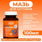 Мазь для суставов, при геморрое, ожогах, экземах Vitamuno «Маклюра», 100 мл - Фото 1