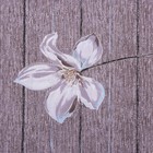 Постельное бельё 2сп диз UB-2 175х215см, 180х215см, 70х70см 2шт бязь 120 г/м, хлопок 100% - фото 24322330