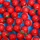 Жевательная резинка с кислой начинкой «Дуй пузырь! ШАРИКИ КЛУБНИЧКА», 10 г - Фото 3