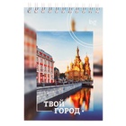 Блокнот А6, 60 листов в клетку, на гребне "Города. Новый стиль", обложка мелованный картон, блок 60г/м2, МИКС 10417554 - фото 160221