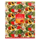 Тетрадь 48 листов в клетку "Девочки", обложка мелованный картон, ВД-лак, белизна 90, блок 60г/м2, МИКС (комплект 3 шт) - фото 23989610