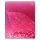 Тетрадь 48 листов в клетку "Девочки", обложка мелованный картон, ВД-лак, белизна 90, блок 60г/м2, МИКС (комплект 3 шт) - фото 23989613