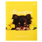 Тетрадь 48 листов в клетку "Девочки", обложка мелованный картон, ВД-лак, белизна 90, блок 60г/м2, МИКС (комплект 3 шт) - фото 23989614