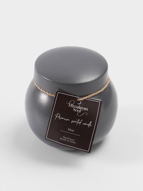 Свеча ароматическая в баночке, 150 г, парафин, mint