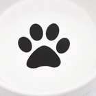 Миски керамические на подставке 2×250 мл - Фото 5