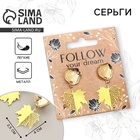 Серьги «Follow your dream», 2.5 х 4 см - Фото 1
