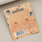 Серьги «Follow your dream», 2.5 х 4 см - Фото 4