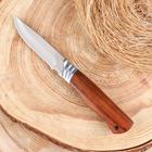 Нож охотничий "Бургут" 21,5см, клинок 98мм/2,5мм, деревянная рукоять - Фото 2