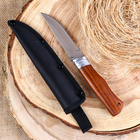 Нож охотничий "Бургут" 21,5см, клинок 98мм/2,5мм, деревянная рукоять - Фото 3