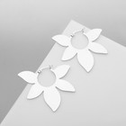 Серьги металл «Листья» этнос, цвет серебро - Фото 3