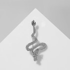 Брошь «Дракон», цвет серебро - Фото 1