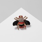 Брошь «Пчёлка», цвет красно-чёрный в золоте - фото 9641725