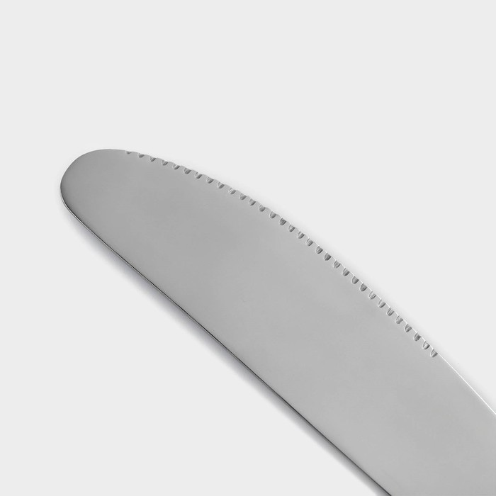 Нож столовый из коррозионно-стойкой стали Доляна «Таун», длина 22 см - фото 1909599995