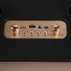 Портативная караоке система M4202+, 25 Вт, 3600 мАч. 2 микрофона, чёрная - фото 9642424