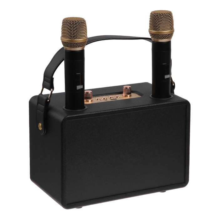Портативная караоке система M4202+, 25 Вт, 3600 мАч. 2 микрофона, чёрная - фото 51548748