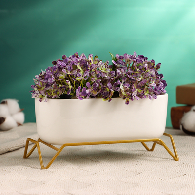 Горшок на подставке "Бонсайница" для кактусов и суккулентов, 17х8,5х5см