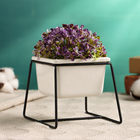 Горшок для цветов «Куб», 200 мл, 8.8×7.5×5.6 см, керамический, на чёрной металлической подставке, белый - Фото 1