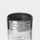 Набор стеклянный питьевой «Неро», 7 предметов: графин 500 мл, стопки 50 мл, цвет серебро - Фото 7