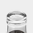 Набор стеклянный питьевой «Неро», 7 предметов: графин 500 мл, стопки 50 мл, цвет серебро - Фото 8